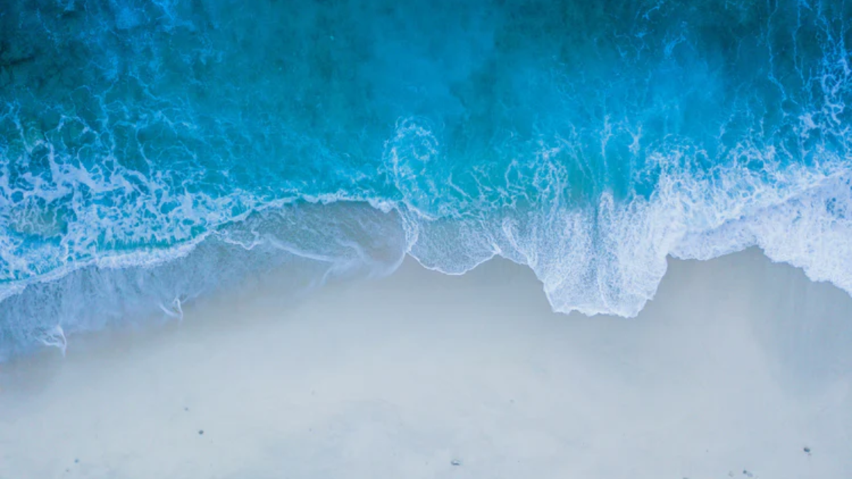 Scents of Summer: Fragrance Trends for 2025