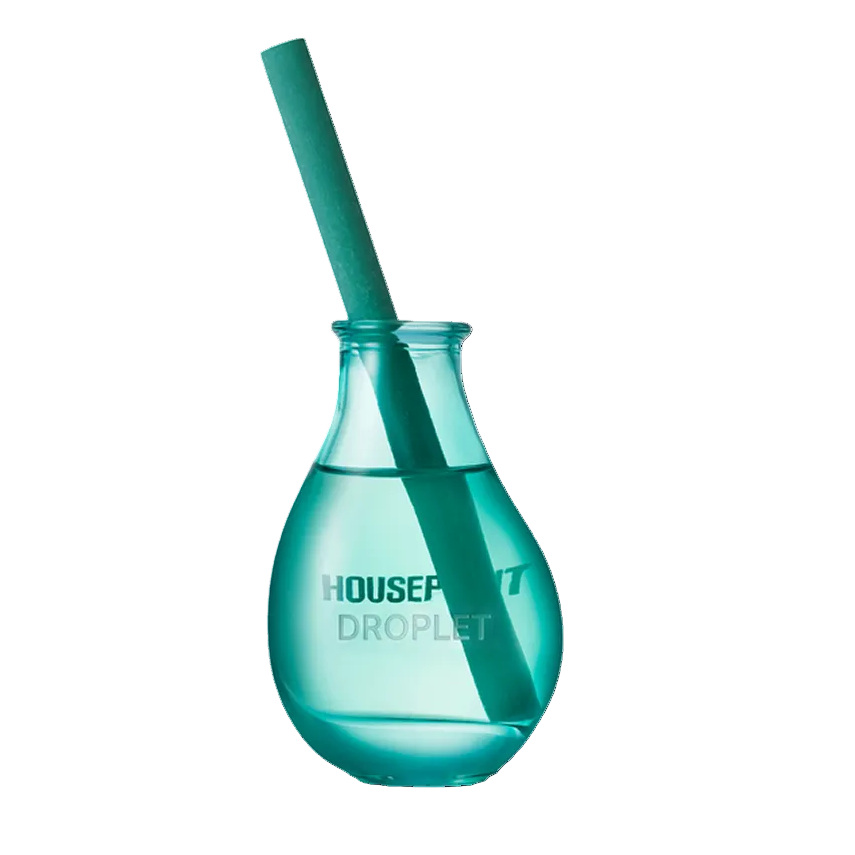Houseplant droplet diffuser with reed.  (Green transparent glass with a thick green reed)