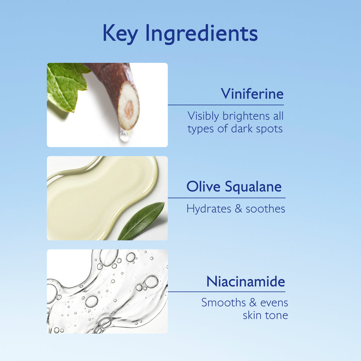 List of key ingredients with images and descriptions on a blue background