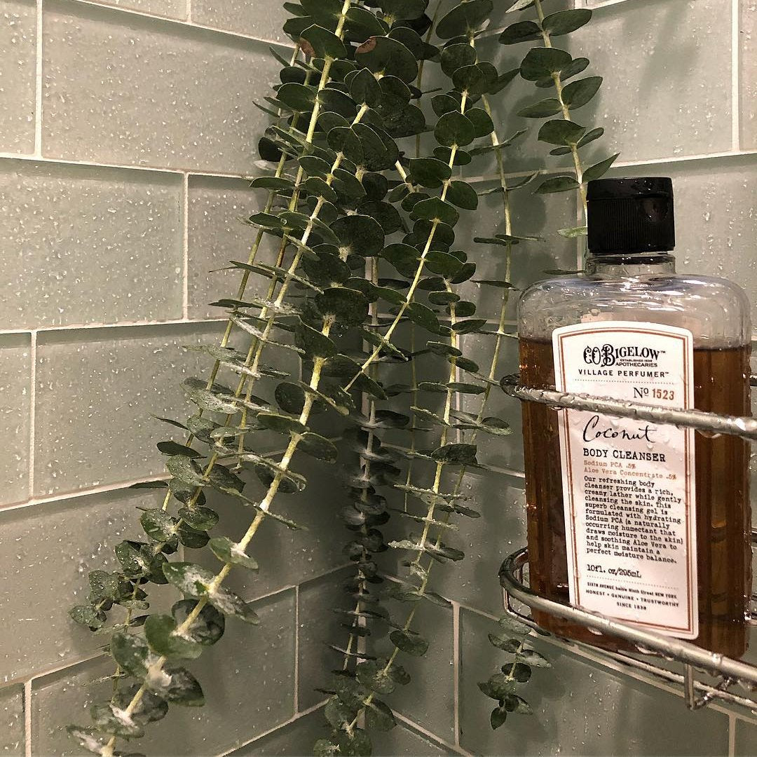 Coconut Body Cleanser on shelf 