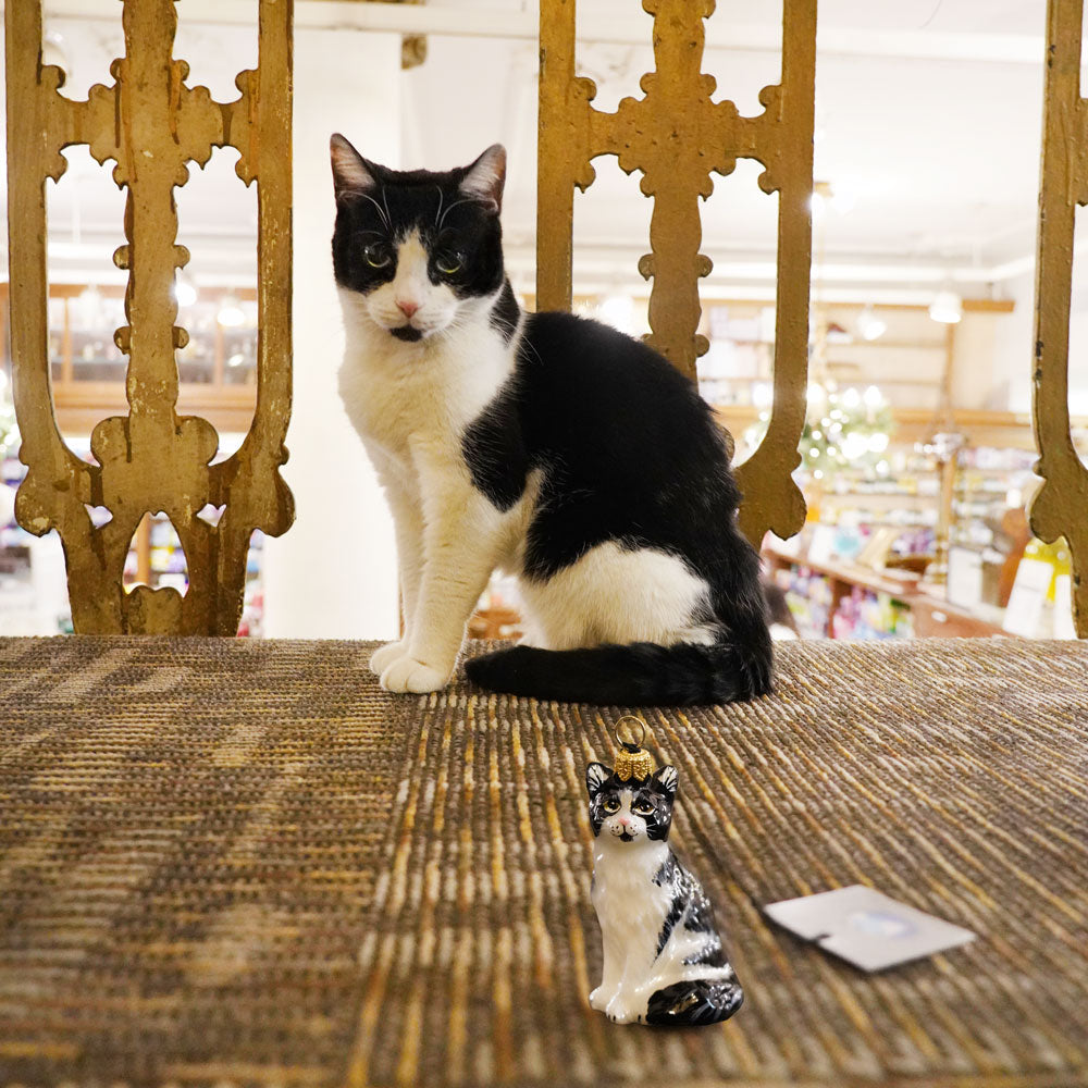 ジョイ・トゥ・ザ・ワールド - 薬屋の猫のオーナメント