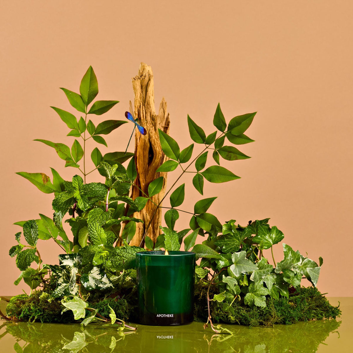 Green Apotheke candle amongst plants in front of an orange background