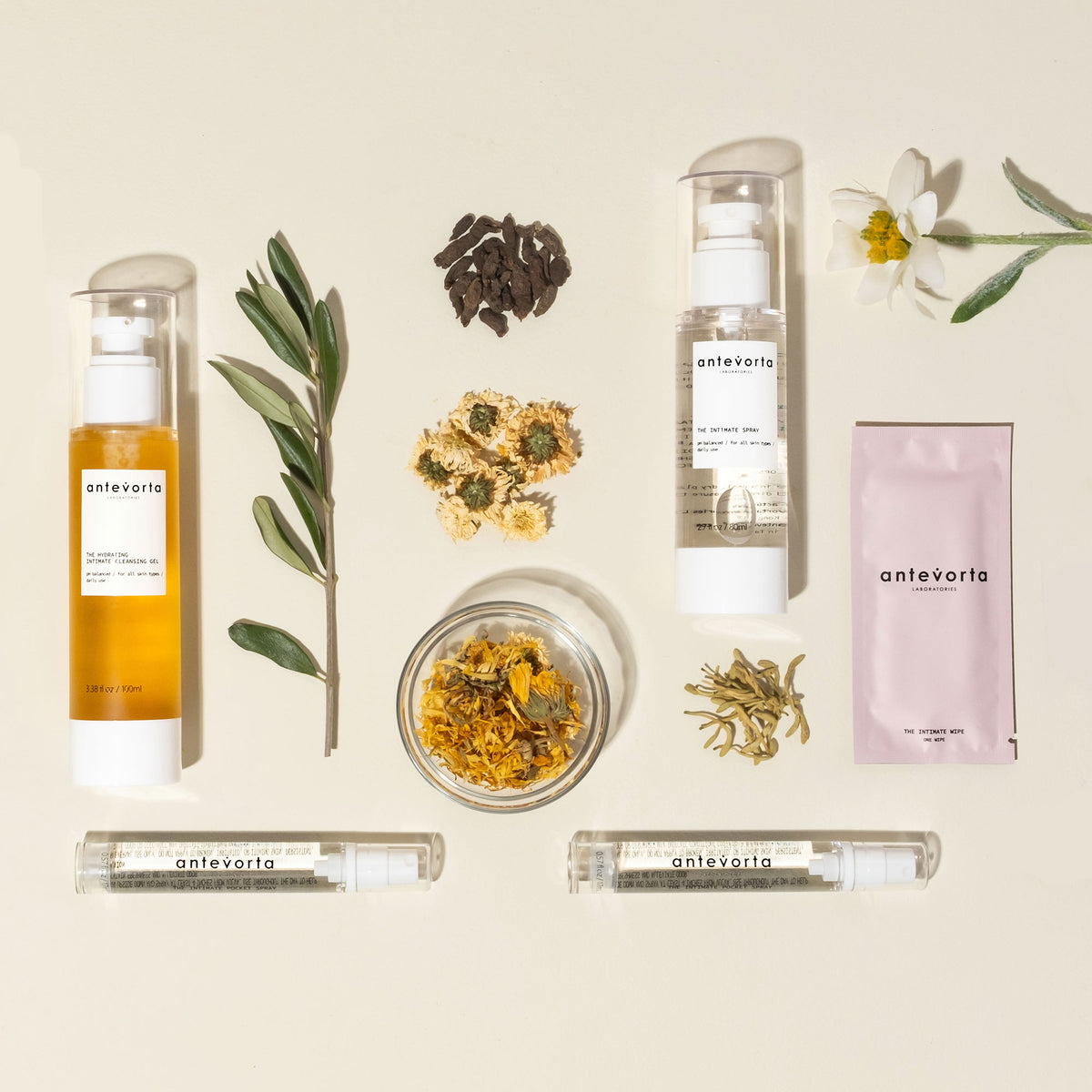 An array of antevorta products and dried flowers on a beige background