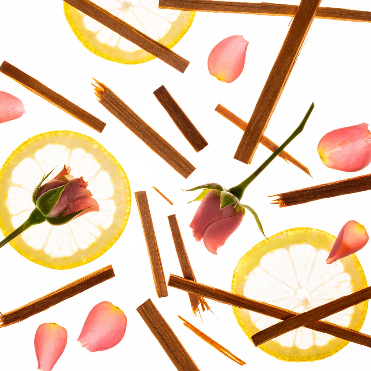 A flat-lay composition of scattered cinnamon sticks, lemon slices, pink rose buds, and pink petals on a clean white background.