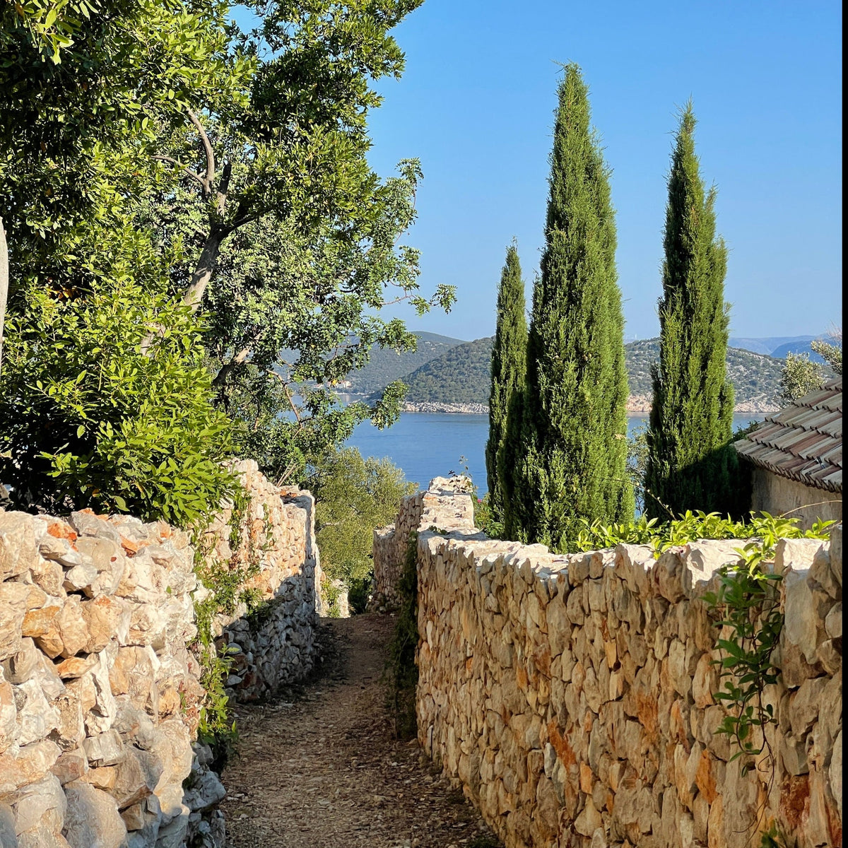 A pathway in between trees with a body of water and hills in the background