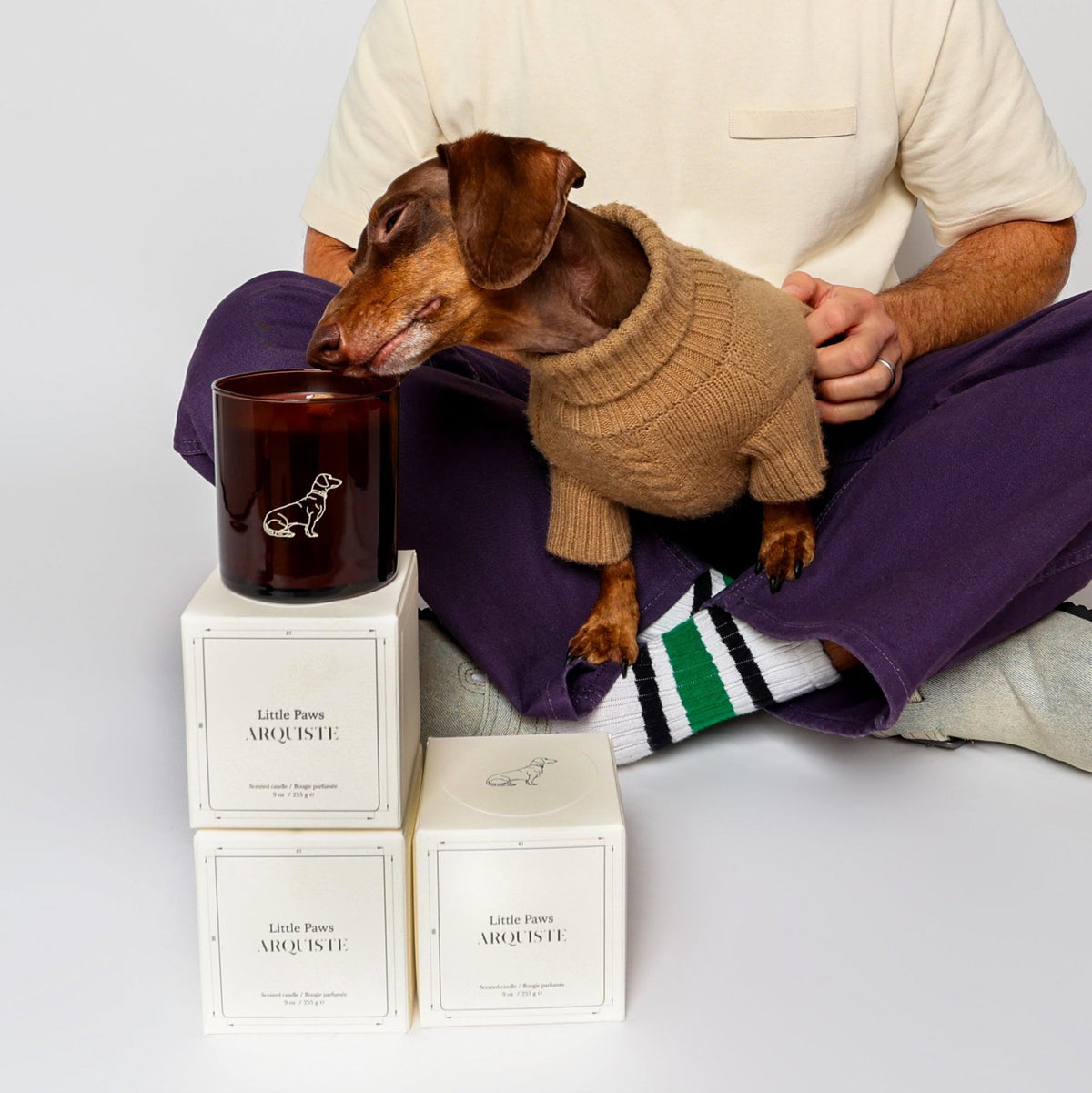 Dog sniffing a little paws candle on a stack of candle boxes