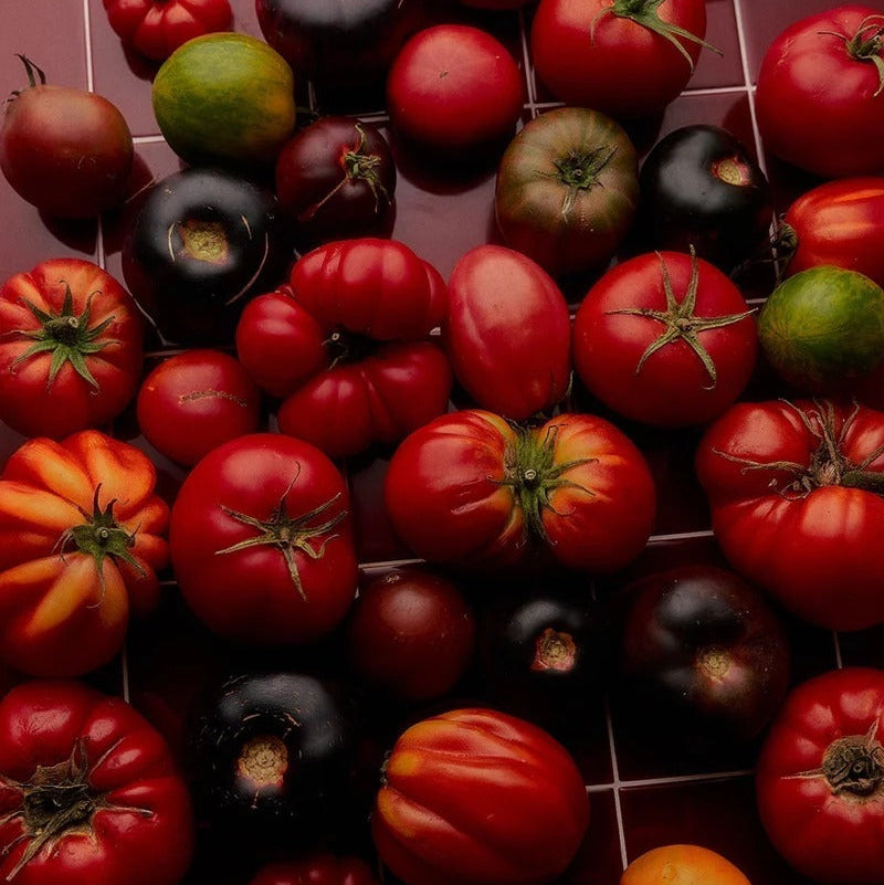Assorted tomatoes including red, green, and black varieties on a grid background