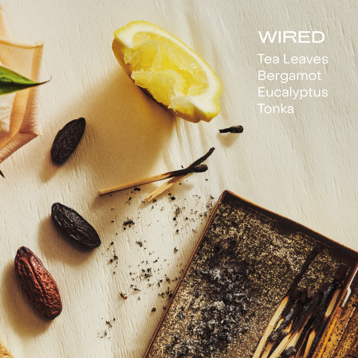 Tea leaves, burnt matches, a squeezed lemon, and tonka on a textured white background
