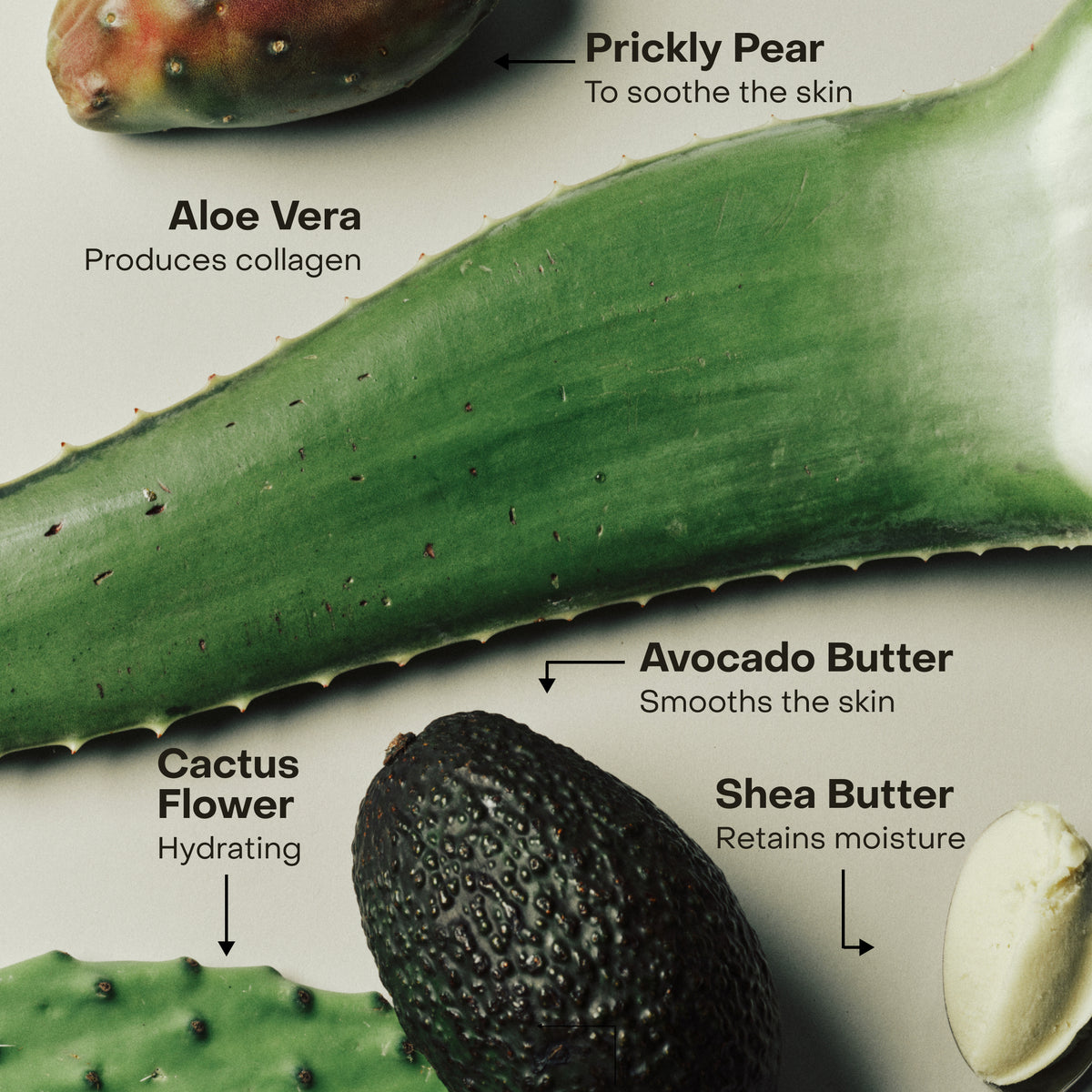 Aloe Vera, pear, cactus flower, avocado butter, and shea butter on a white background