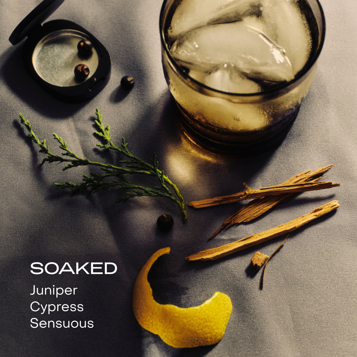 Glass of iced drink with juniper berries, cinnamon sticks, and a lemon wedge on a dark surface.