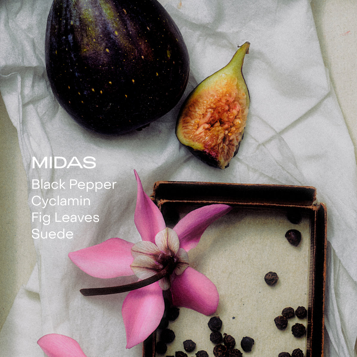 Fig, pink flower, and black pepper on a white fabric background with 'Midas' branding.