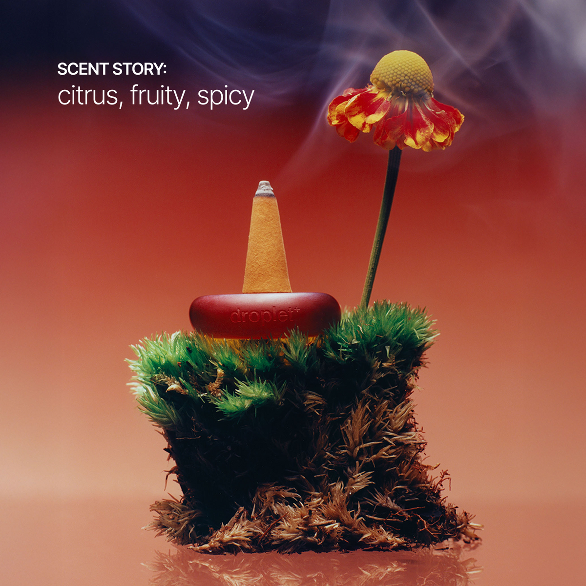 A styled product shot featuring a droplet-shaped incense holder with a lit incense cone, set in green moss next to a red and yellow flower on a reflective surface against a warm red-orange gradient background. Text on the left reads 'SCENT STORY: citrus, fruity, spicy'.
