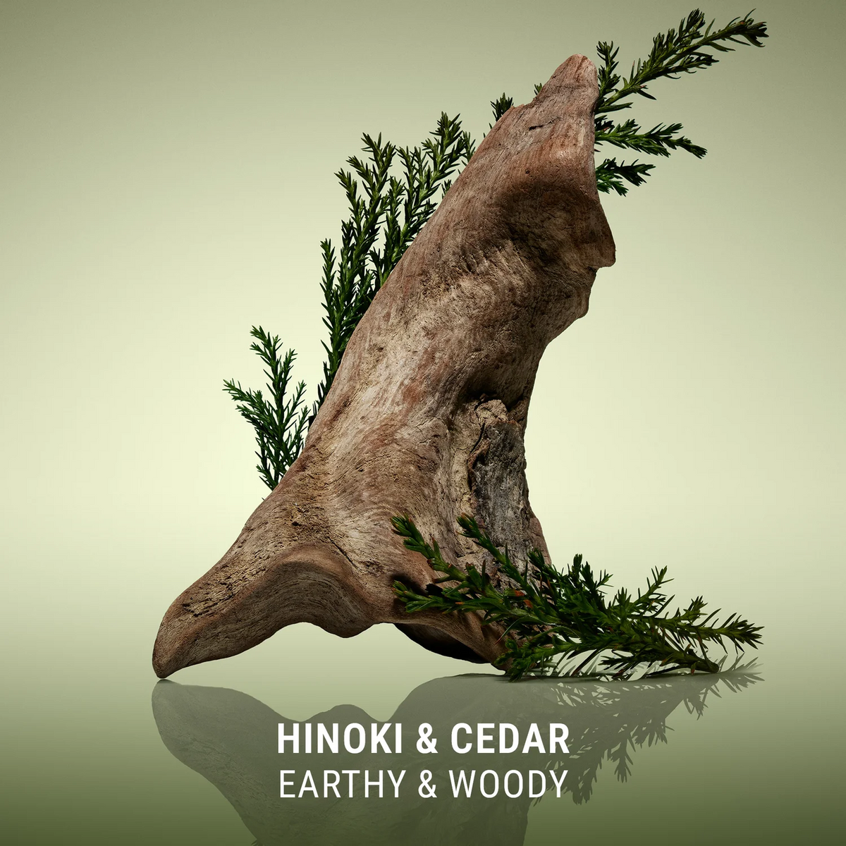 Driftwood with greenery on a beige background, labeled 'Hinoki & Cedar'.