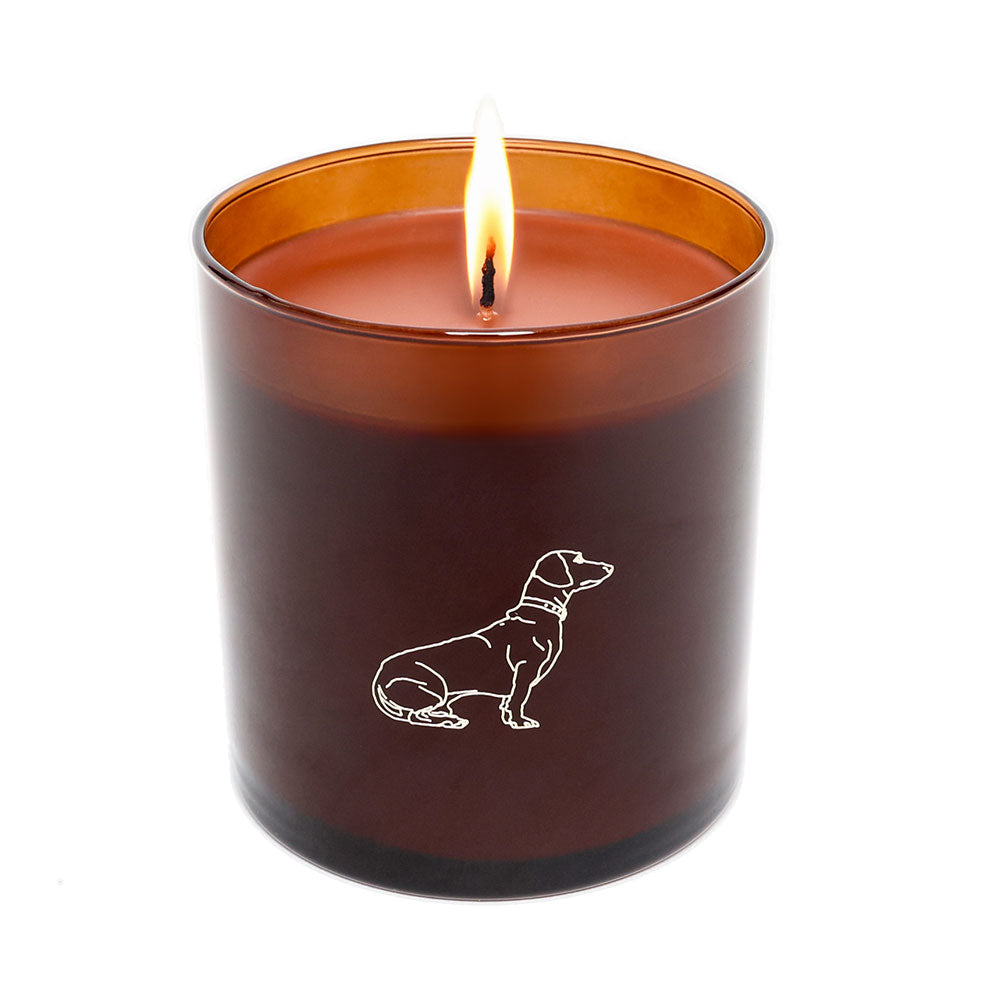 Lit candle with a dog on it