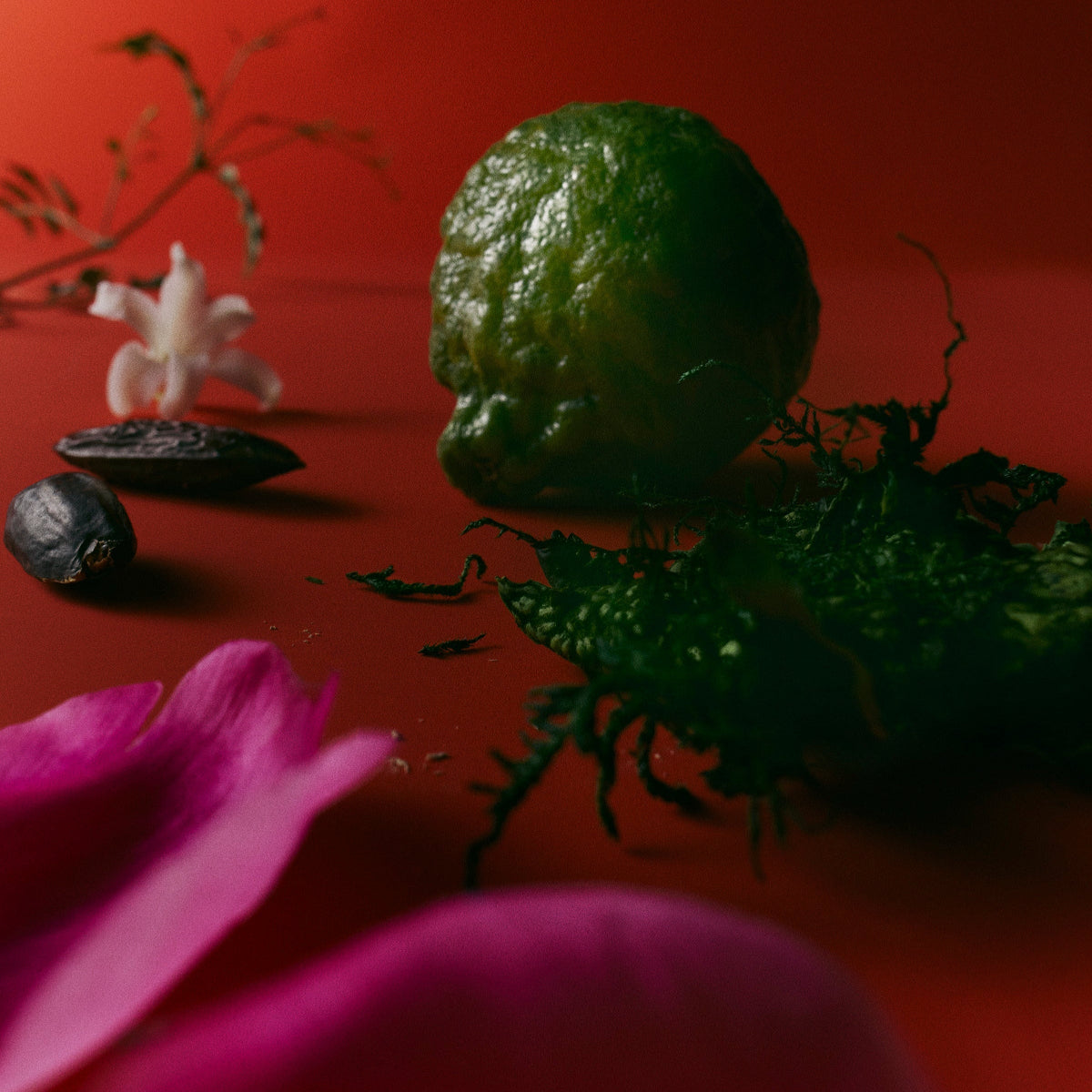 Mienne Fleurir Fragrance Profile Lifestyle image. Flower petals and other organic material scattered across a red surface. 