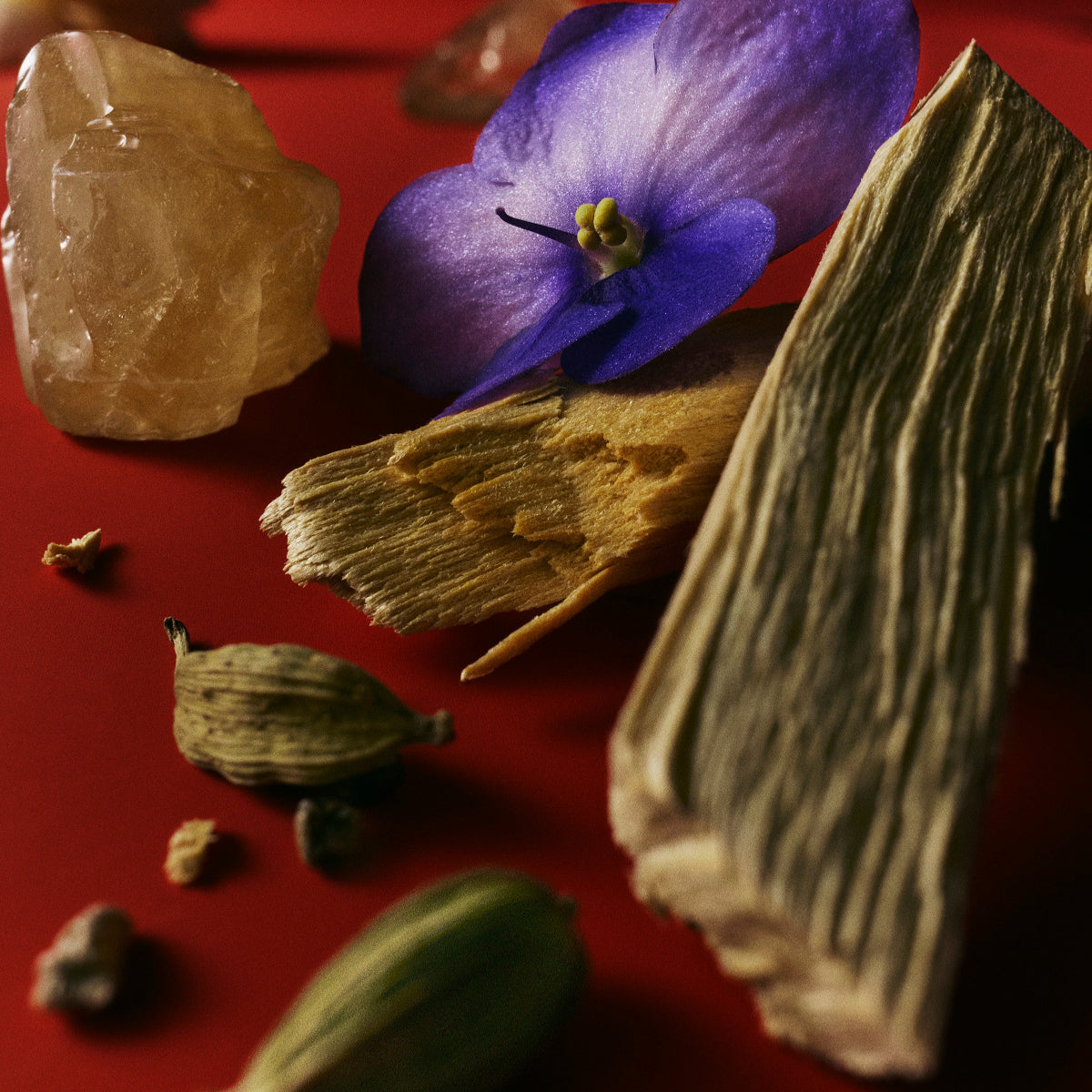 Mienne Incendier fragrance profile lifestyle image. Flowers, seeds, stones and other organic materials scattered across a red surface. 