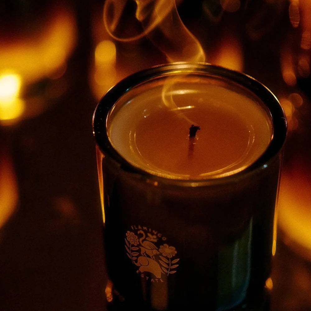 Flamingo Estate Candle burning in a dark setting