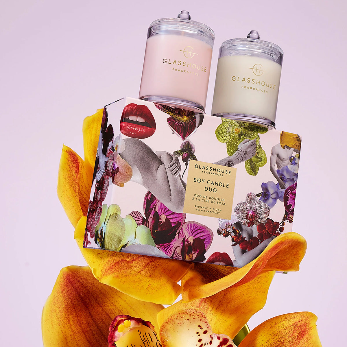 Glasshouse candles with colorful packaging and a yellow flower on a light purple background