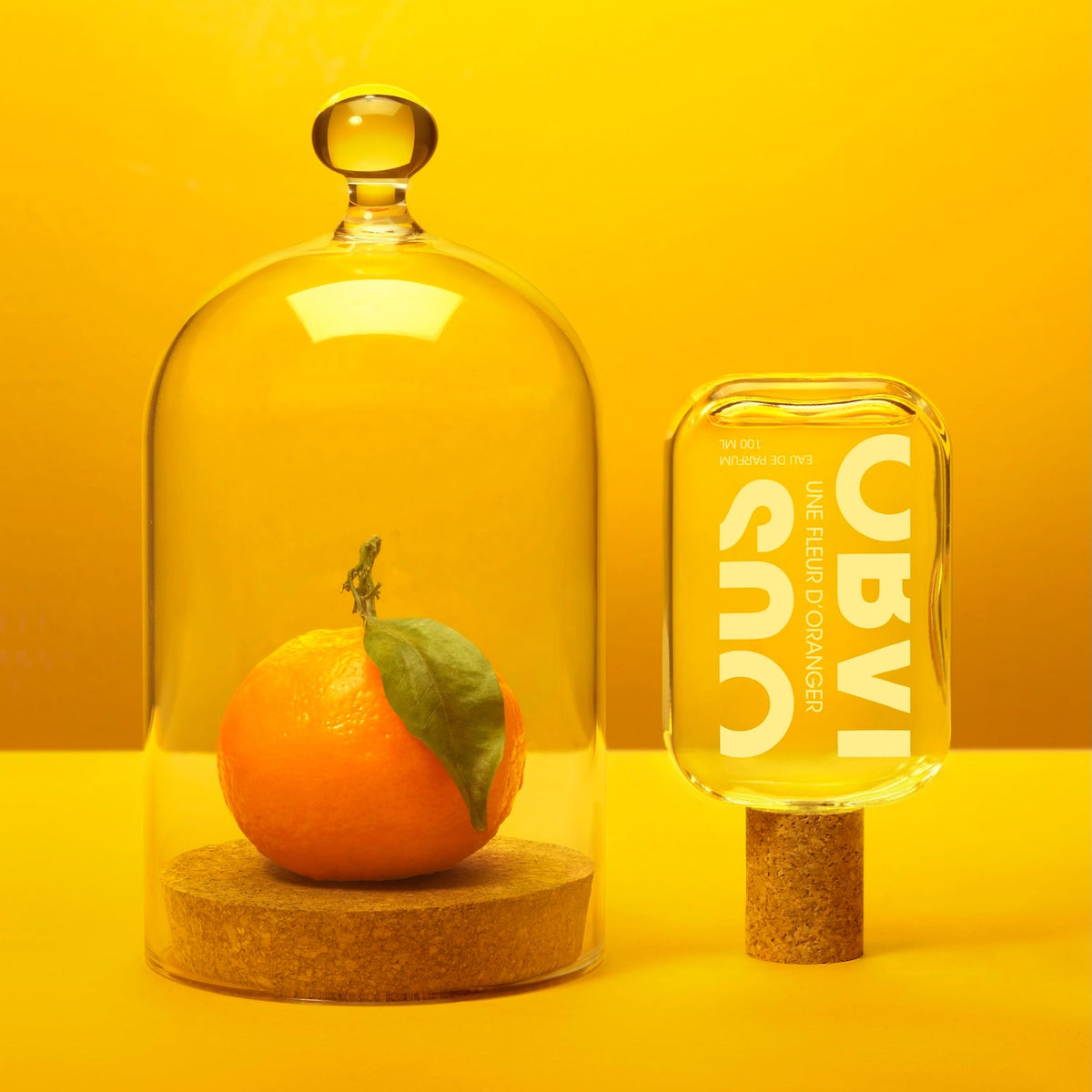 Orange under a glass dome with a perfume bottle on a yellow background