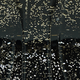 Black Glitter