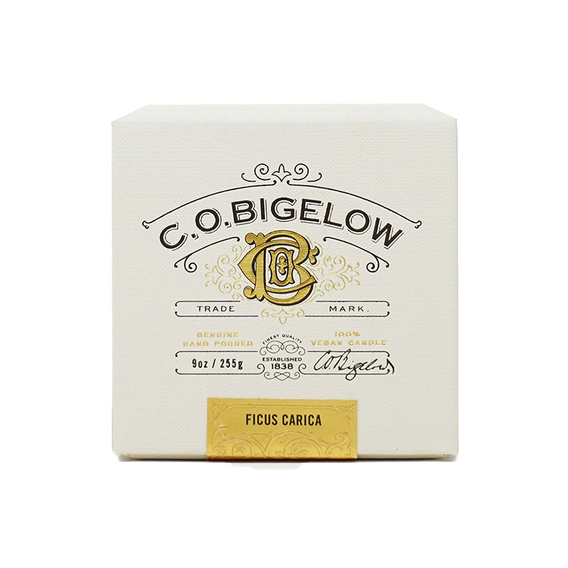 Candle - Fig (Ficus Carica)