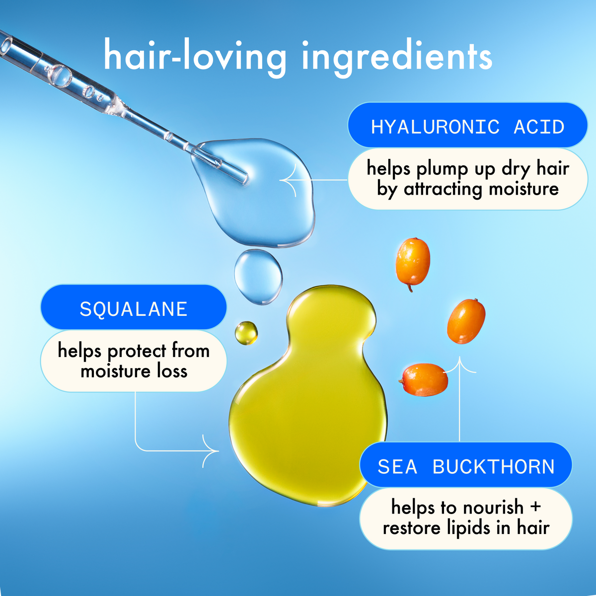 Amika Hydro Rush Conditioner Illustration of hair-loving ingredients with droplets and text on a blue background
