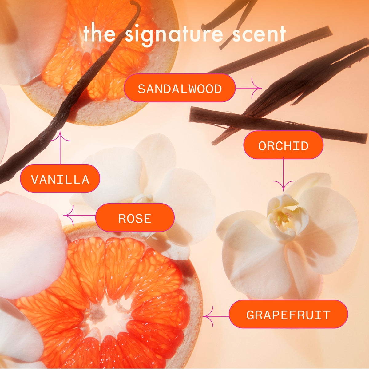 Amika Signature scents with sandalwood, orchid, vanilla, rose, and grapefruit labeled on a gradient background.