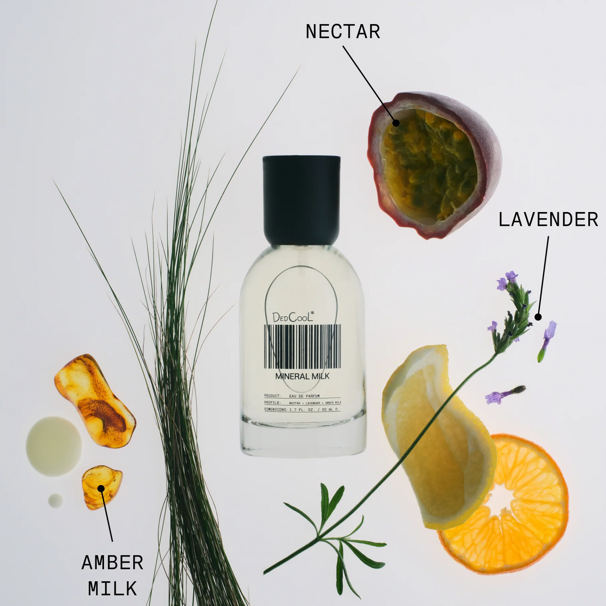 Mineral Milk Fragrance - Eau de Parfum