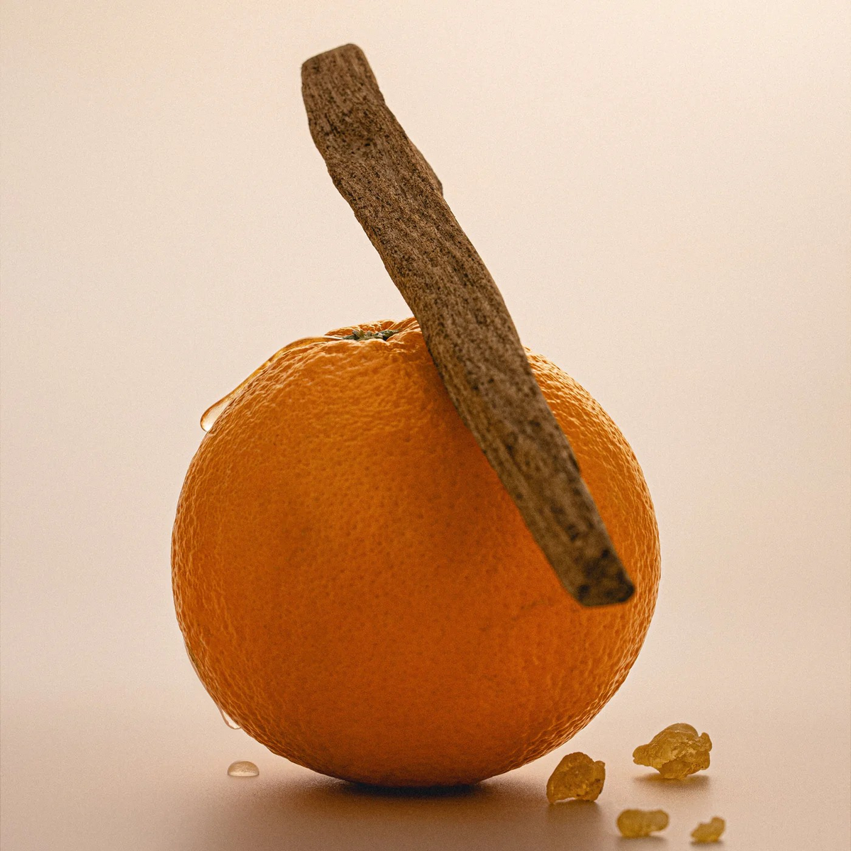 An orange with wood chip on top with crystals on the bottom.