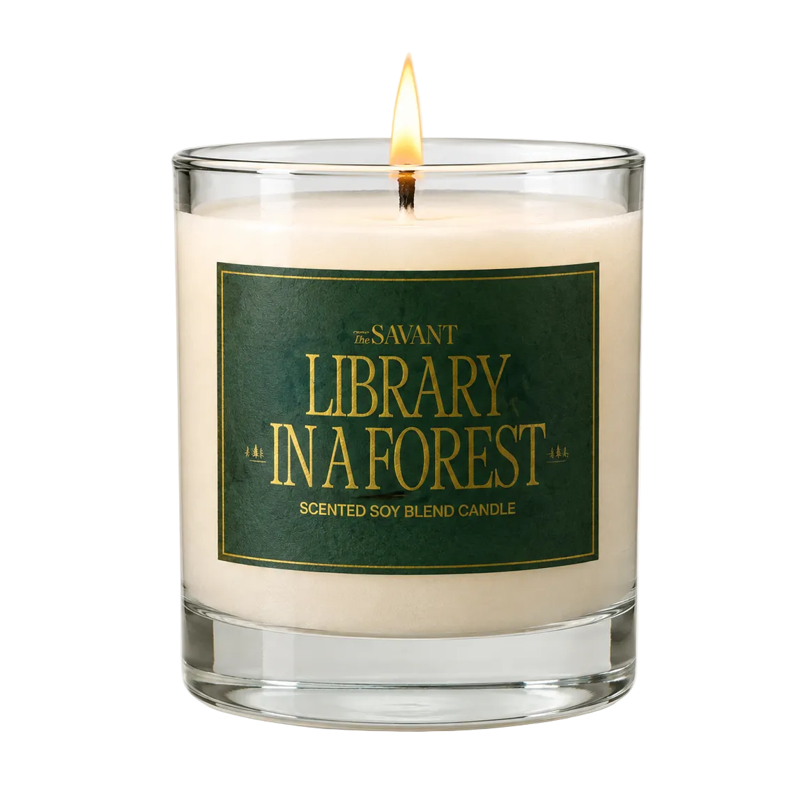 Library in a Forest Candle
