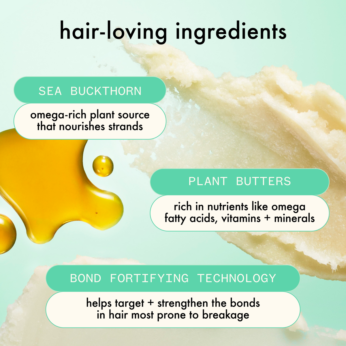 The Kure Hair care product ingredients with text labels on a light green background