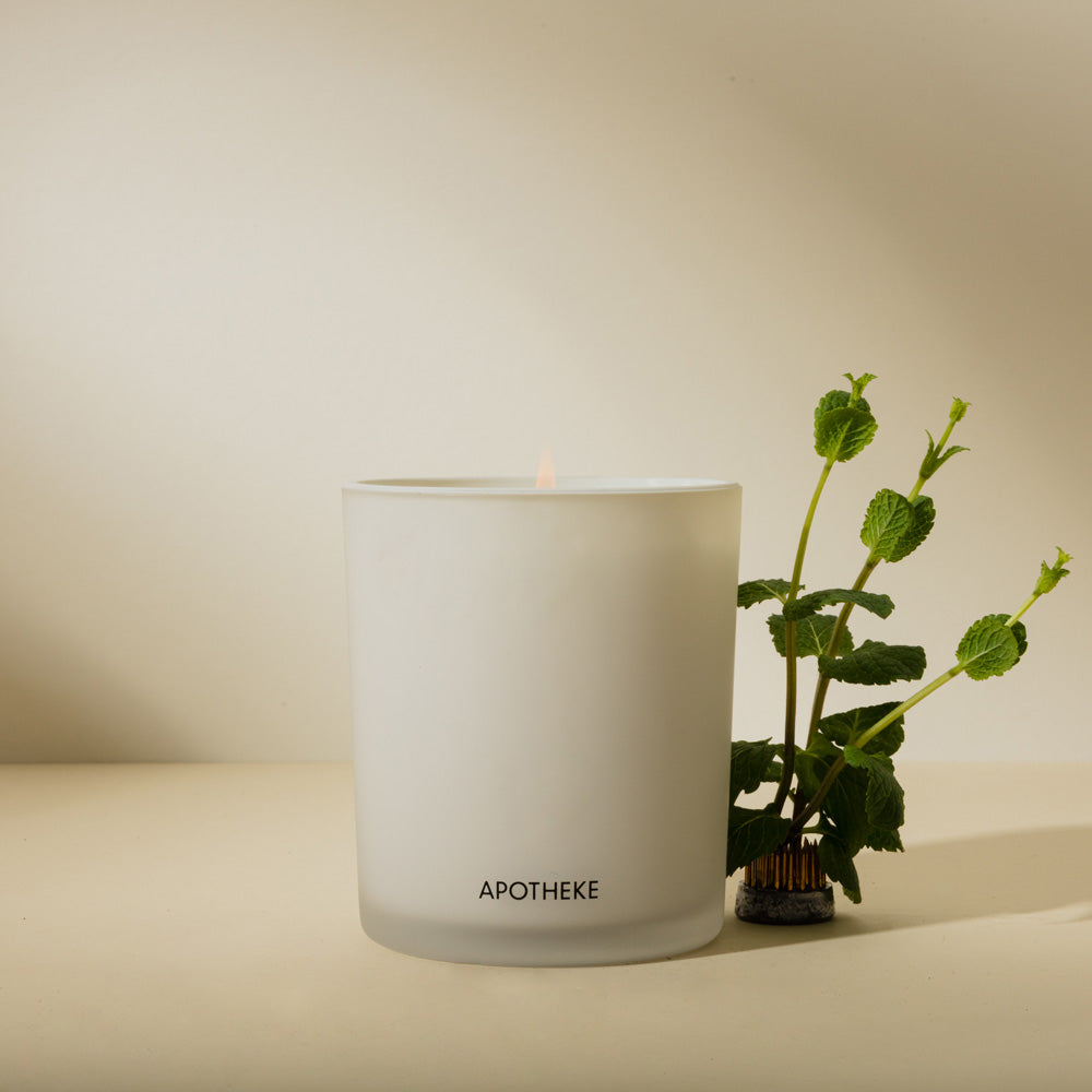 Apotheke candle net to a plant in front of a neutral background